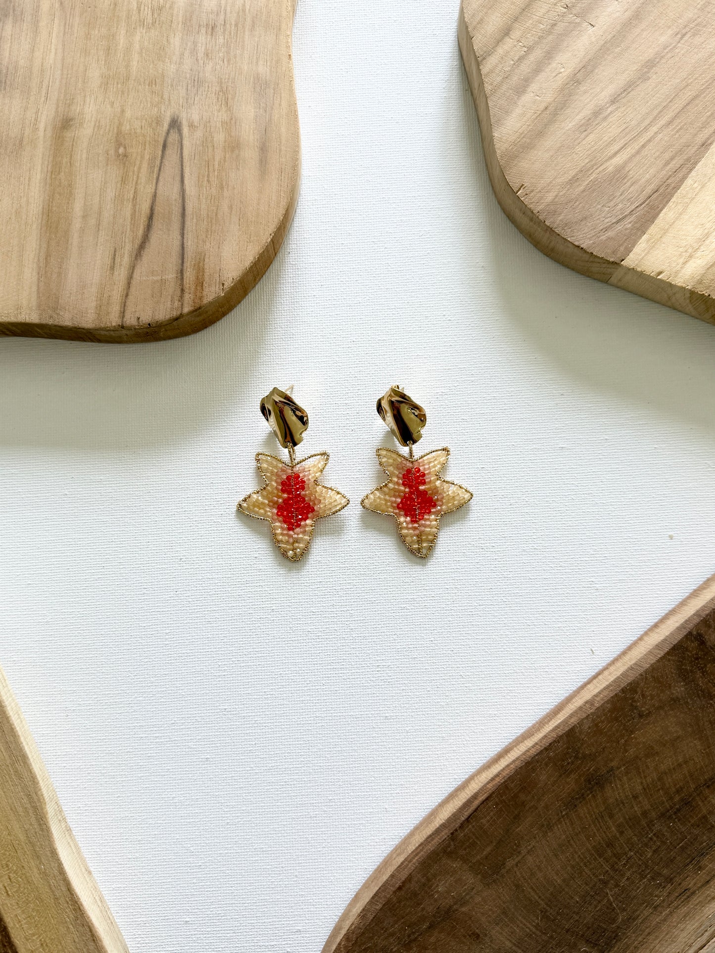 BOUCLES DOREILLES BARBARA